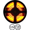 PowerLED Oranje 0,5 t/m 2,5 Meter 120LED per meter 12 Volt
