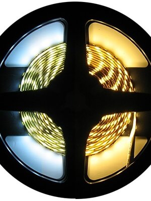 LED Strip Dual White 1 Meter 120 LED 24 Volt