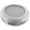 Dolphix LED kweeklamp UFO 90 Watt