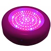 Dolphix LED kweeklamp UFO 90 Watt