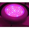 Dolphix LED kweeklamp UFO 90 Watt