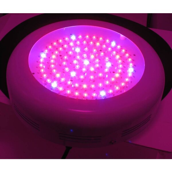 Dolphix LED kweeklamp UFO 90 Watt