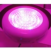 Dolphix LED kweeklamp UFO 90 Watt