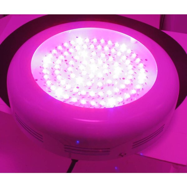 Dolphix LED kweeklamp UFO 90 Watt