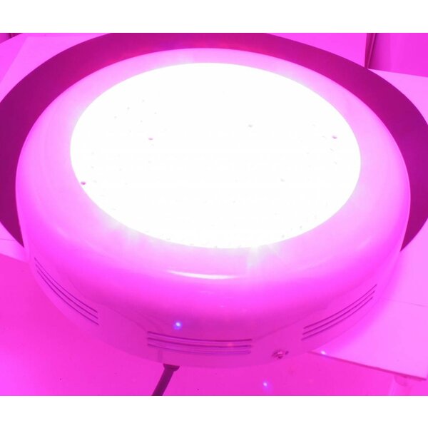 Dolphix LED kweeklamp UFO 90 Watt