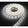 Aquarium LED Strip Extra Bright Helder Wit 90CM 24V 6000K
