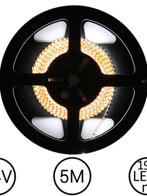 LED Strip Koud Wit 5 meter 196 LED 24 Volt - Ultra