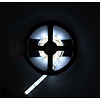 LED Strip Koud Wit 5 Meter 60 LED per meter 12 Volt - Ultra