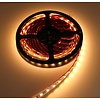 LED Strip RGB + Warm Wit + Koud Wit 5 meter 60led/m 5in1 led 24V Dual White CCT