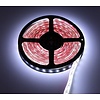 LED Strip RGB + Warm Wit + Koud Wit 5 meter 60led/m 5in1 led 24V Dual White CCT