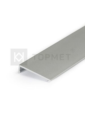 Afdekplaat voor Step profiel 2 meter