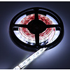 LED Strip RGB + Warm Wit + Koud Wit 2.5 meter 60led/m 5in1 led 24V Dual White CCT