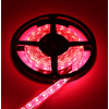 LED Strip RGB + Warm Wit + Koud Wit 2.5 meter 60led/m 5in1 led 24V Dual White CCT