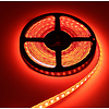 LED Strip RGB+CCT 5 meter 84led/m 5in1 LED 24V 2800k ~ 6500k