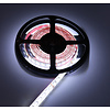 LED Strip RGB+CCT 2.5 meter 84led/m 5in1 LED 24V 2800k ~ 6500k