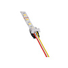 Klik Connector  voor Dual White ledstrips naar draad