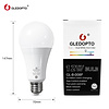 Gledopto Zigbee PRO Color and White 12 Watt E27 Grote Fitting