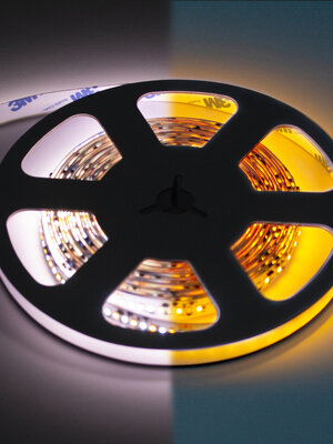LED Strip Dim to Warm (1800-4000K) 5 meter IP20