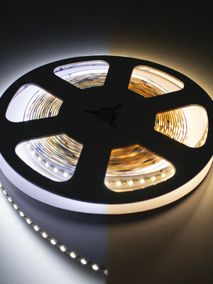 LED Strip Dual White 3000K-6500K 5 meter 24V