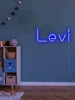 Neon Logo met LED Levi