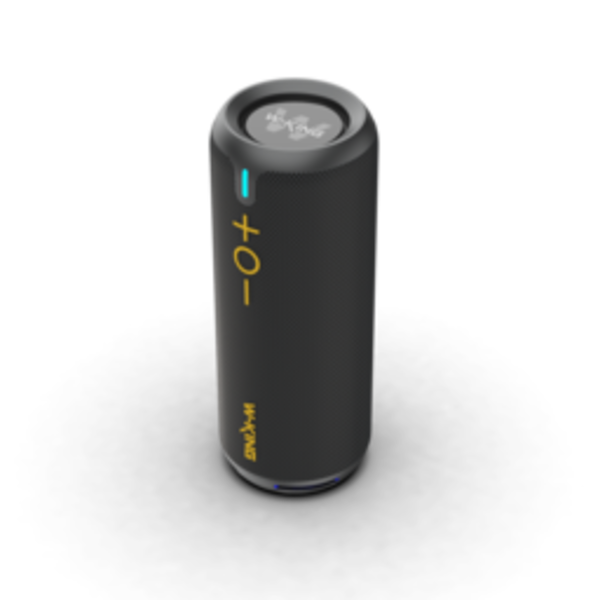 W-King 40W draagbare bluetooth speaker D320 - waterdicht - RGB LED Verlichting