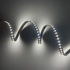 LED Strip 15 meter Helder Wit  5000K - 120led per meter - 24 Volt - IP20