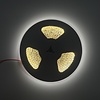 LED Strip 20 meter Helder Wit  5000K - 120led per meter - 24 Volt - IP20