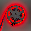 LED Strip DMX RGBW - 5 meter - 24 Volt - 48led/m - IP20