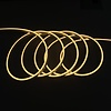 Neon Flex LED Slang 3000K Warm wit - 5 meter - 24V