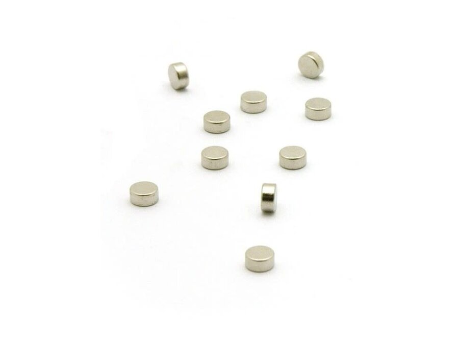 magneetjes - rond - set 10 stuks - zilver