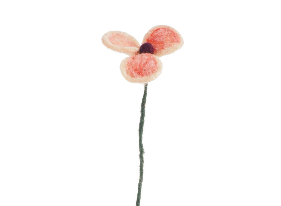bloem - wol - papaver perzik