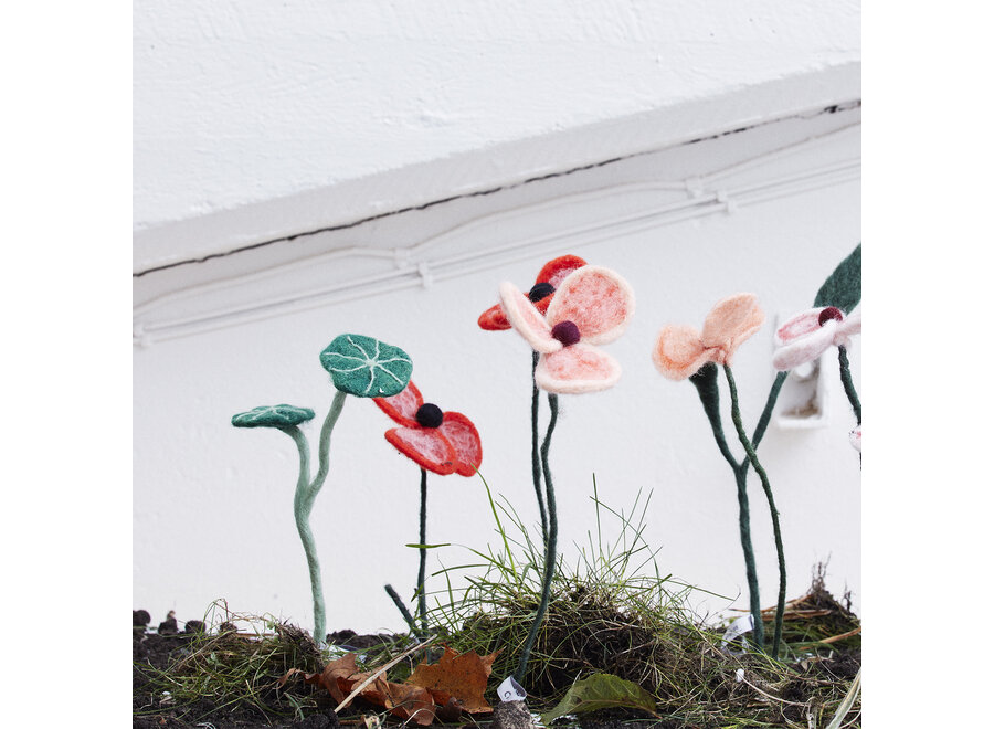 bloem - wol - papaver perzik