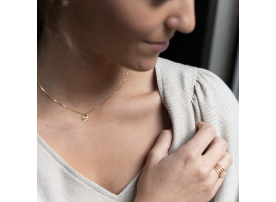 halsketting - hammered coin - verguld