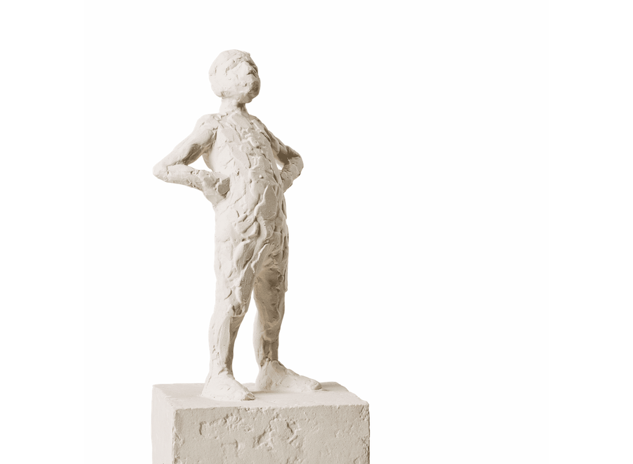 karakter - beeldje - boekensteun - leeuw