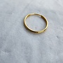 oorring - double hoop - l - verguld