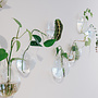 wandvaasje - kling3 - b10 x d5 x h12 - glas
