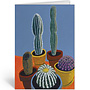 wenskaart - sunlit cactus