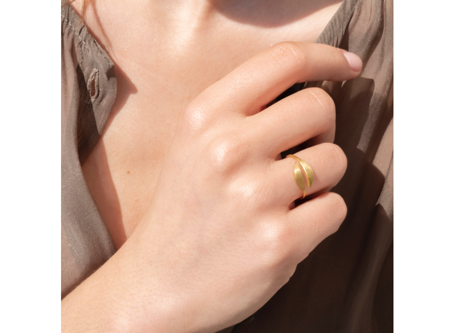 ring - particle