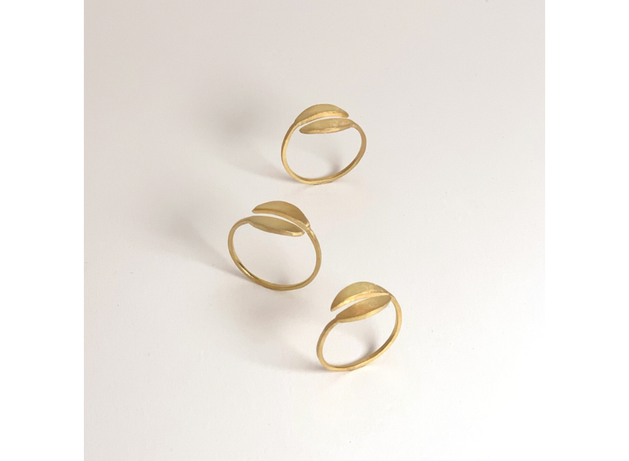 ring - particle