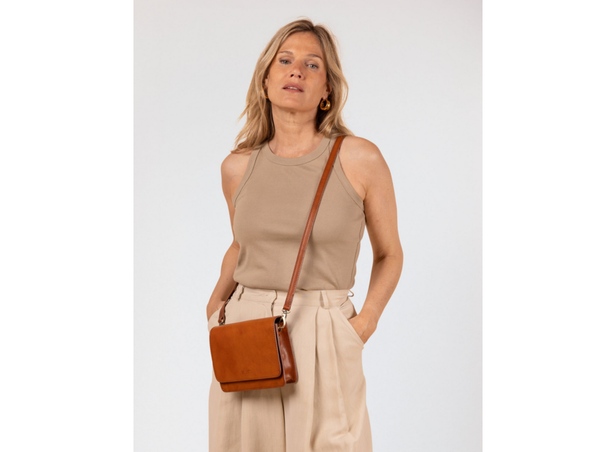 audrey bag - mini - cognac leather