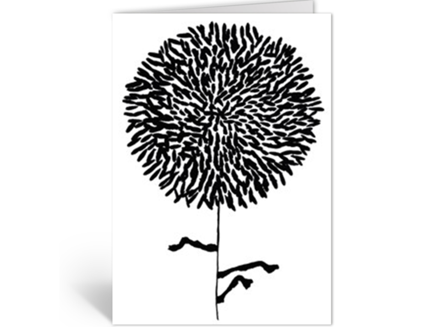 wenskaart - violet almond