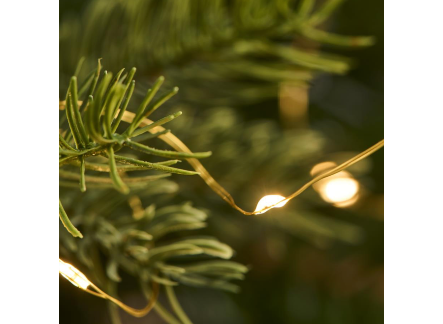 wire string lights - 20 led lights