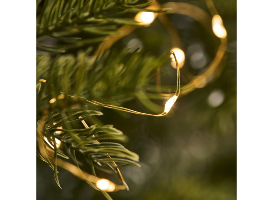 wire string lights - 20 led lights