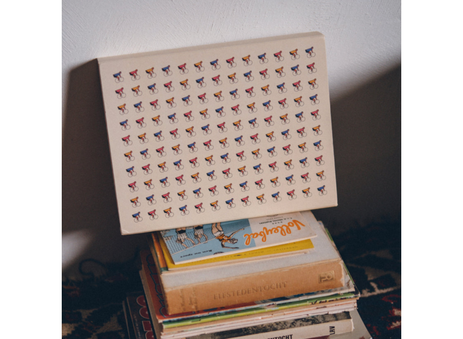 cadeaubox - set van 3 paar sokken / 43 - 47 - cyclist