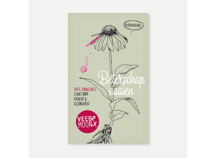 zadenzakje met een boodschap - beterschap