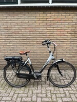 Gazelle Orange