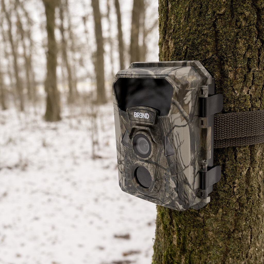 BREND Caméra de chasse BREND BR-2248 avec vision nocturne jusqu’à 20 mètres – carte SD 32 Go incluse