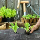 Weed Control Fabric - Agrotextile - 1.1 x 50 m - 50 Ground Pegs