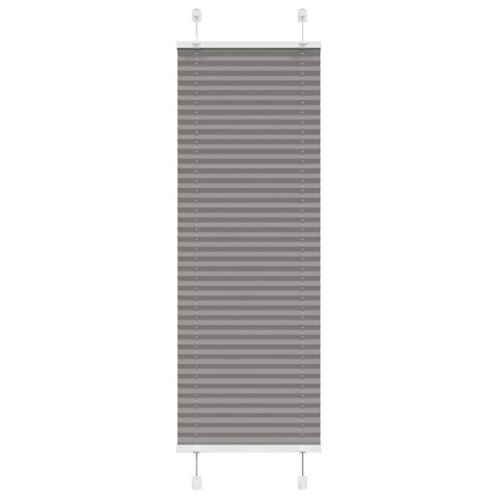 Store plissé anthracite 45x100 cm, 100% polyester, pour intérieur