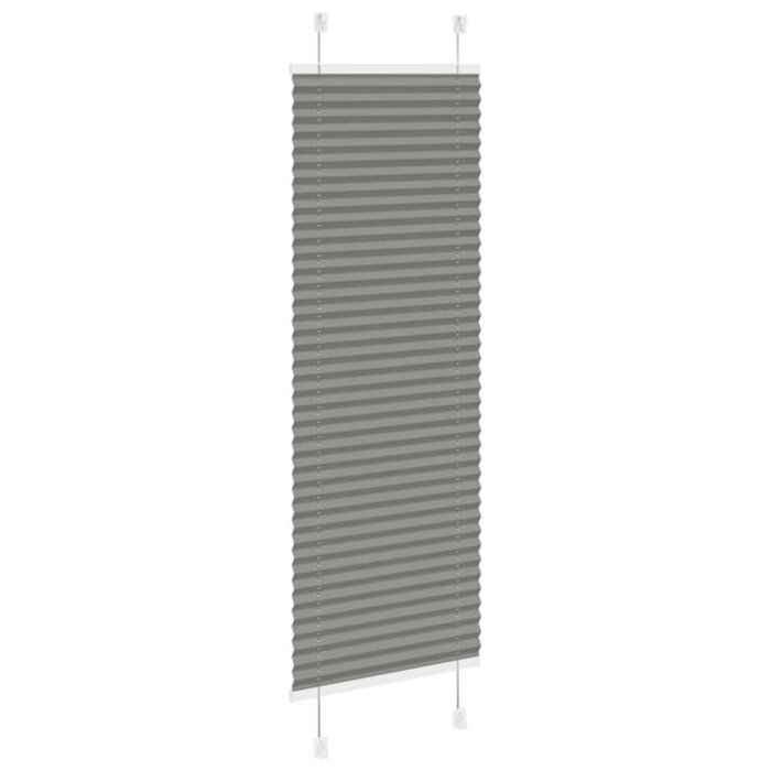 Store plissé anthracite 45x100 cm, 100% polyester, pour intérieur
